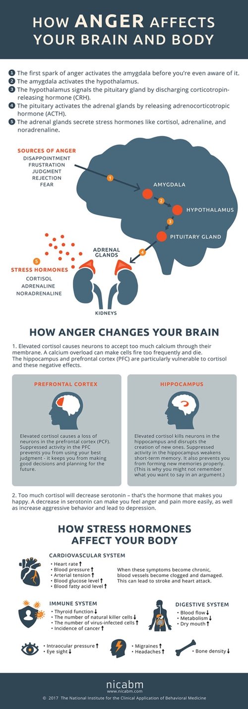 Why Anger Management Therapy